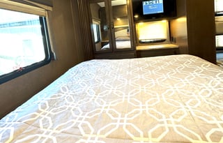 2019 Thor Motor Coach A.C.E. 30.2