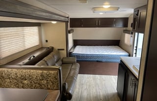 "Wolfy" the Cherokee Wolf Pup