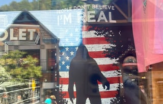 Tennessee Glamping!**FULLY LOADED***