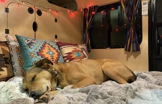 Light weight, dog friendly Hiker Trailer