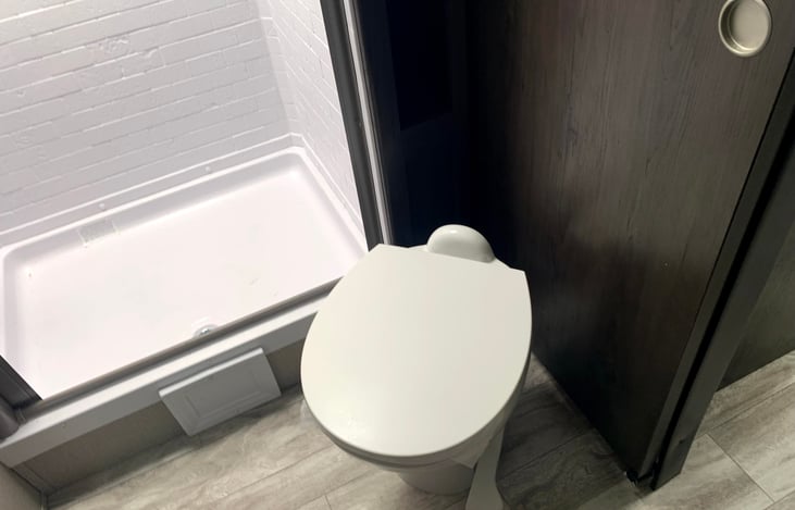 Toilet and shower in bathroom