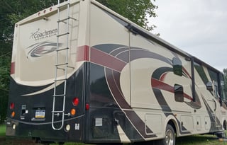 Skye Ryder Pet friendly with delivery options