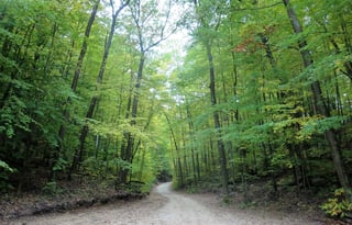 2011 KZ Durango D325CK