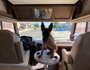 Forest River RV FR3 33DS