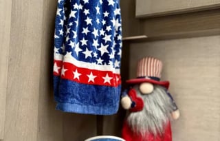 2025 Thor Freedom Elite