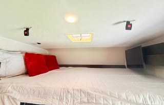 Luna the Leprechaun -2021 Coachmen RV Leprechaun