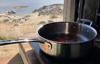 sunni the van -pet friendly | hot water | spacious