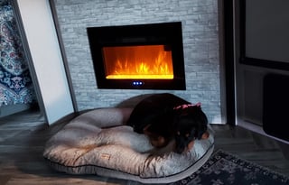 The Miller's pet friendly get away.