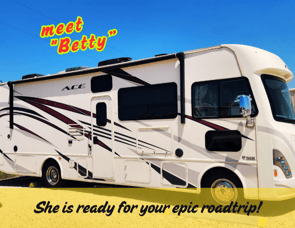 Thor Motor Coach ACE 30.2