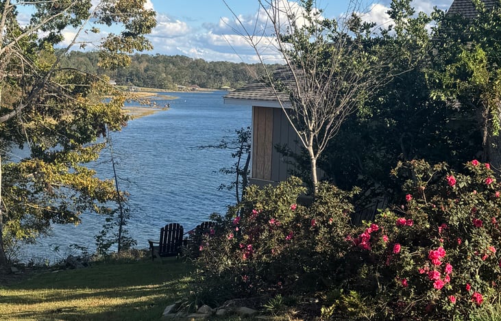 azaleas in bloom with your sitting area looking over the lake