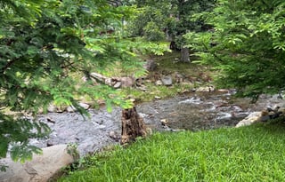 Creekside Retreat the Base of Roan Mountain