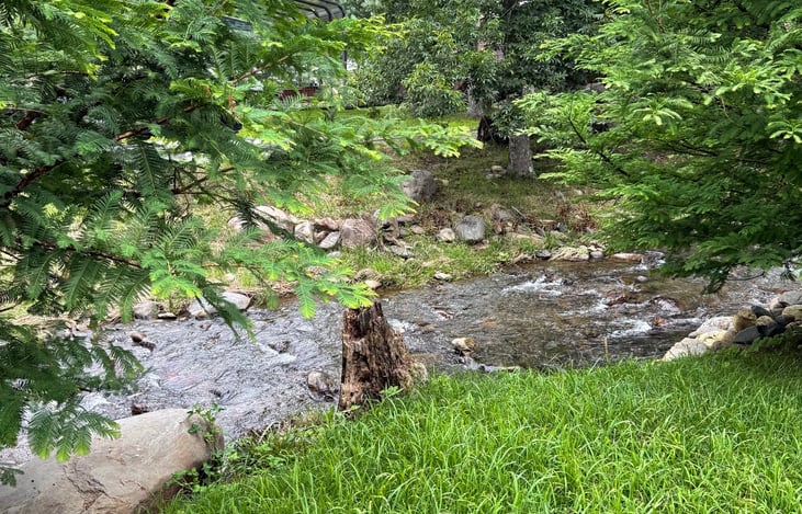 View of the Creek from our site
