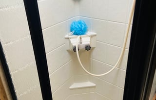 Dorothy the Ruby Red Kansas Beauty