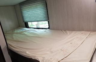 2019 Forrest river Wolf pup