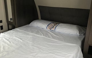 Disney Fort Wilderness and more! (Delivery only)