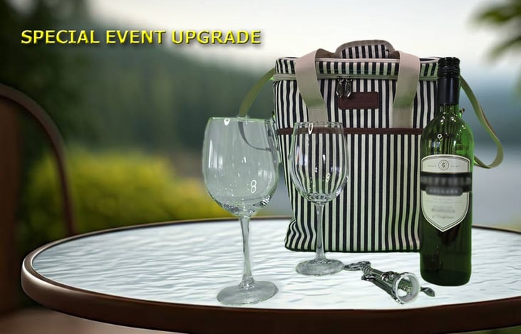 Special Event Upgrade - 6 bottle cooler (or 4 bottles and 2 glasses), 2 wine glasses & bottle opener. Alcohol not included.