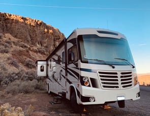 Forest River RV FR3 30DS