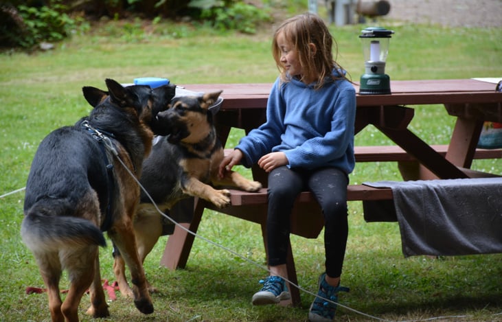We love camping in our teardrop. It takes us to some of the most majestic places.