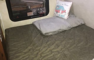 2011 Coachmen Freedom Express LTZ