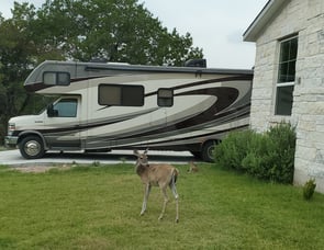 Forest River RV Sunseeker 3050S Ford