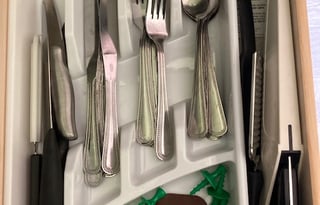 Your 2021 Forest River - 4 Adults, 2+ kids & dog