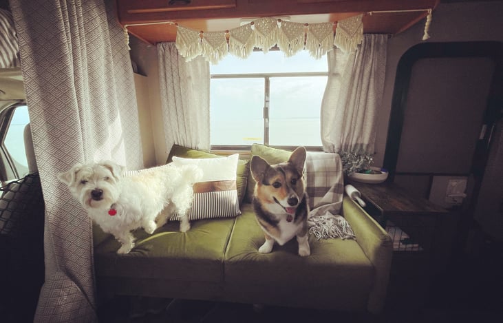 Pet friendly! Please use Mexican blankets to keep the upholstery clean.