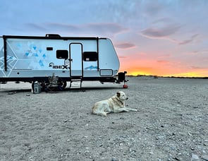 Forest River RV IBEX 20BHS