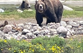 "Wilma". A 2023 EAST TO WEST Entrada 2900DS