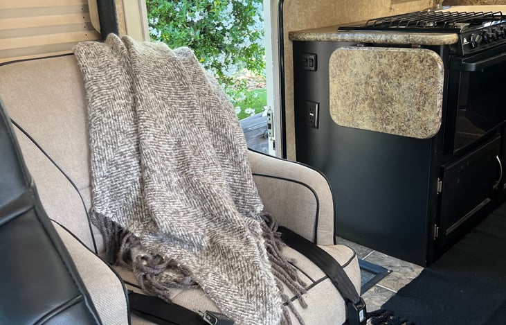 Passenger swivel chair