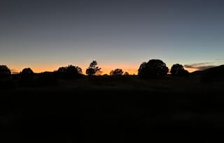 RELIEF! - 50% off stationary monthly rentals