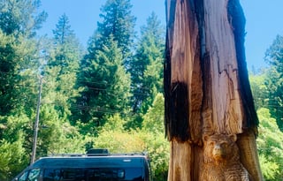 WINNEBAGO TRAVATO Camper Van for winter travels !