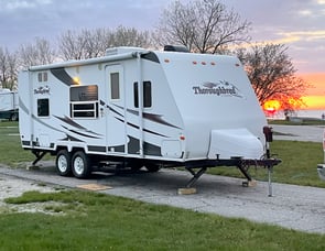 Palomino Thoroughbred T-231