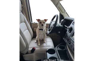 LazyRoadTrips Glamping  in Our 2024 Premier RV