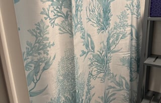 Rosentom, 2024 Dutchmen RV Coleman 17B