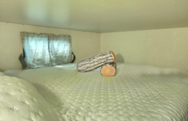 queen size upper window.  Each bunk has its own window