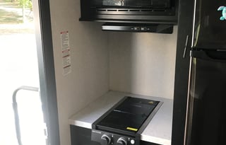 Pupper Friendly Wolf Pup