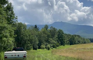 The Brave Little Rockwood