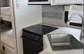 2020 Thor Motor Coach ACE 30.2