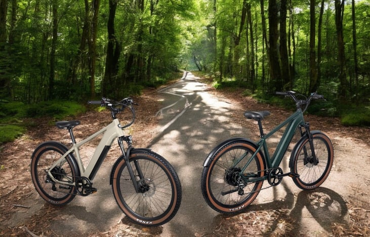 We also rent E-bikes to go along with your rental.  We currently have 4 bicycles, 20 to 28 MPH and 30-50 miles depending on rider weight, terrain, incline, level of assist, etc. full size shown