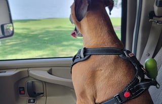 Bertha the Bunkhouse