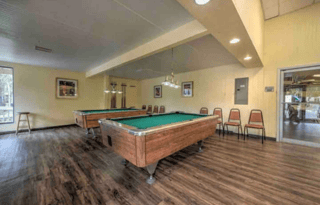 2009 Open Range Open Range 391RES