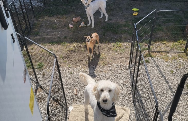 Pet friendly, fencing included with rental.