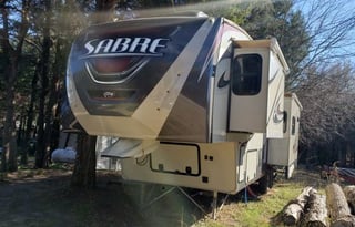 PET FRIENDLY 2014 Palomino Sabre 33RKTS-6