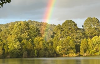 Travelbug Adventures: 2018 Forest River