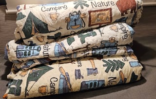 2021 Thor Motor Coach Vegas 24.1