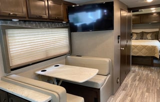 2020 Thor Motor Coach ACE 30.4 (Wander Woman)