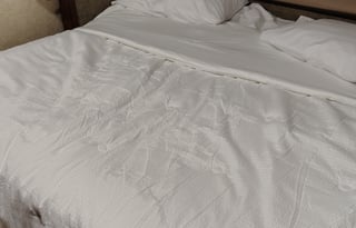 2016 Forest River RV Georgetown 364TS