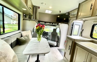 Modern RV – Pet Friendly, Easy, & Road-Trip Ready!