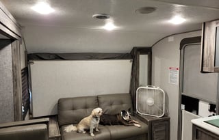 Sophie and Ode Pet Friendly & Kid Approved RV