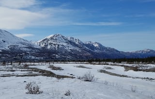2016 Forest River Sunseeker LE 2250SLE